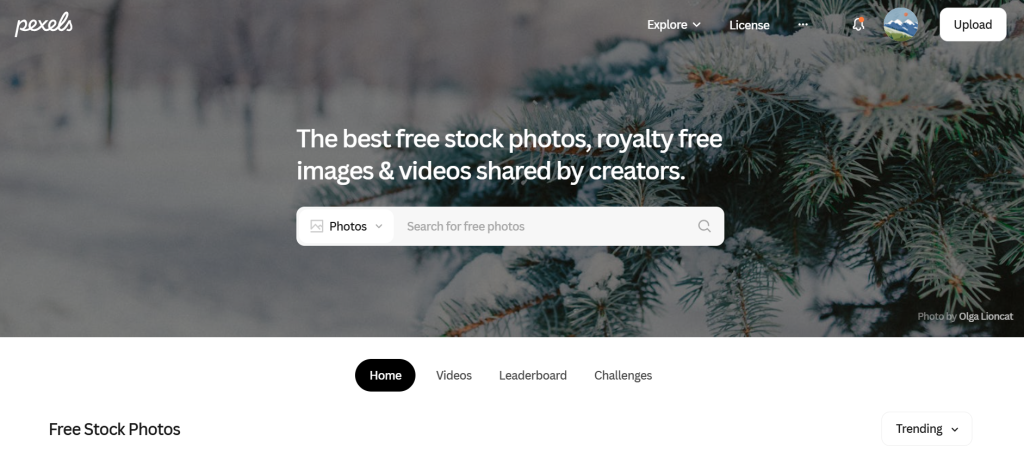 social media toolkit image 8: Image of Pexels webpage