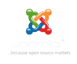 images removebg preview